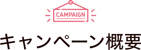 �L�����y�[���T�v